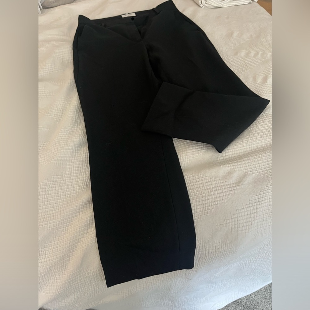 Babaton dress pants